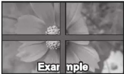 Exa mple