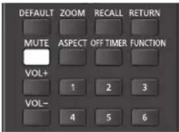 DEFAULT ZOOM RECALL RETURN MUTE ASPECT OFF TIMER FUNCTION VOL+ 1 2 3 VOL- 4 5 6