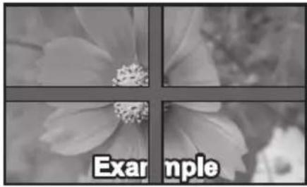Example