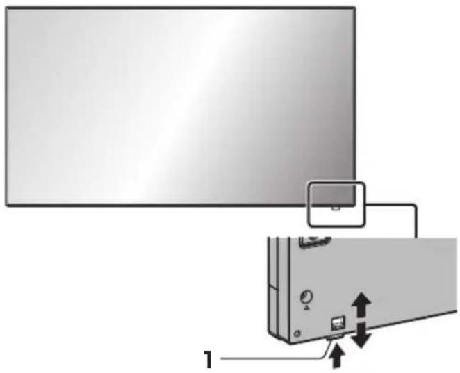 PANASONIC TH-43SF2E - Main unit - 1