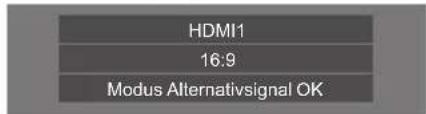 PANASONIC TH-55LF80-SST - Bei Drücken auf wird Folgendes angezeigt. - 1