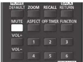 HOME DEFAULT ZOOM RECALL BACK MUTE ASPECT OFF TIMER FUNCTION VOL+ 1 2 3 VOL- 4 5 6