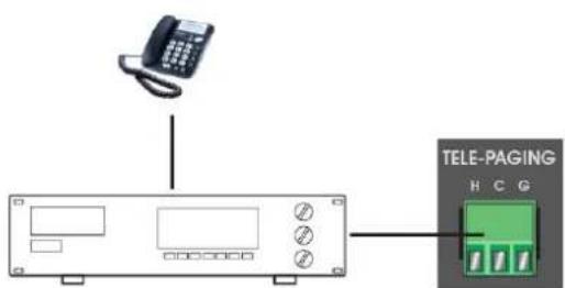 TELE-PAGING H C G