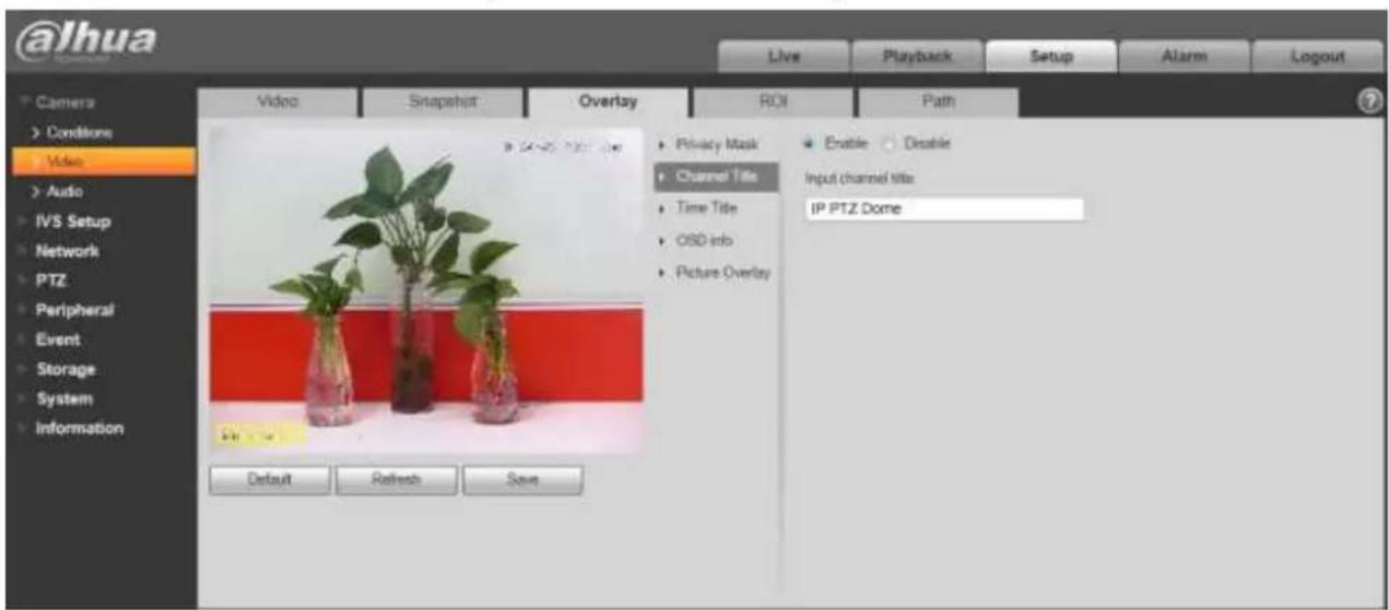Dahua Technology Ultra IPC-HDBW8232E-Z-SL - Video Overlay - 2