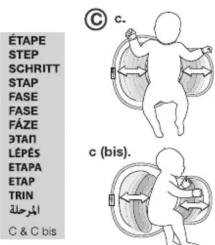 ÉTAPE STEP SCHRITT STAP FASE FASE FAZE ETAN LÉPÉS ETAPA ETAP TRIN الملحة C & C bis © c. c (bis).