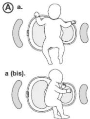 A a. a (bis).