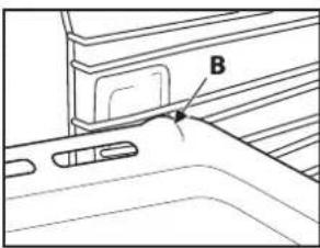 B