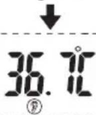 Welby 91807 - Measuring the temperature in the ear - 6