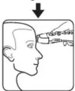 Welby 91807 - Measuring the temperature on the forehead - 3
