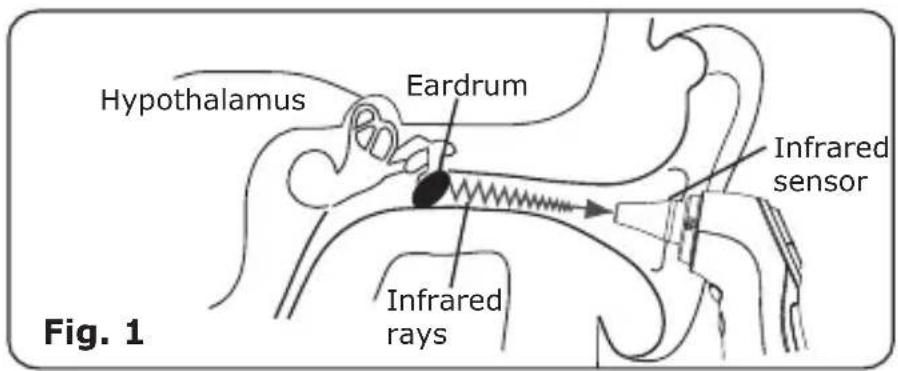 Welby 91807 - Measuring the body temperature in the ear - 1