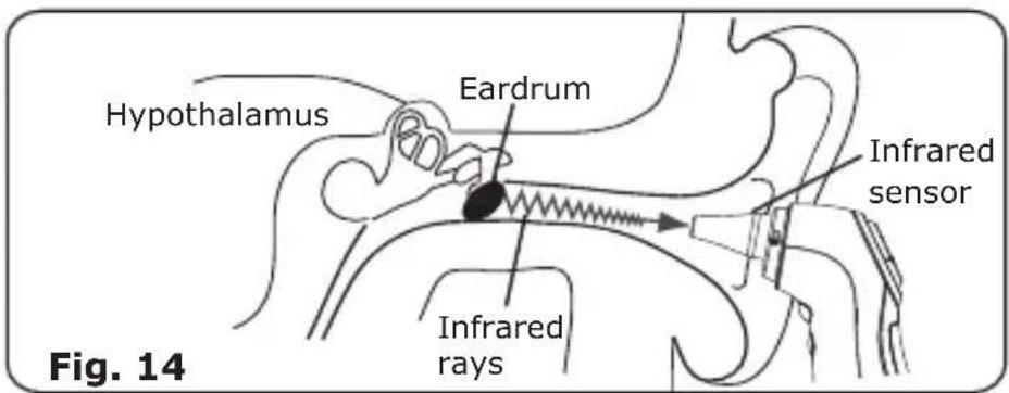 Welby 91807 - Measuring the temperature in the ear - 4