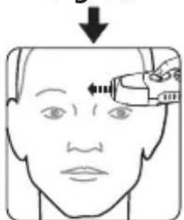 Welby 91807 - Measuring the temperature on the forehead - 2