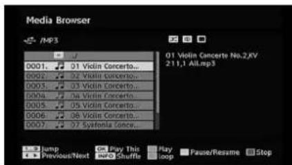 Walker WP4611LCD - Playing Audio Files: - 1