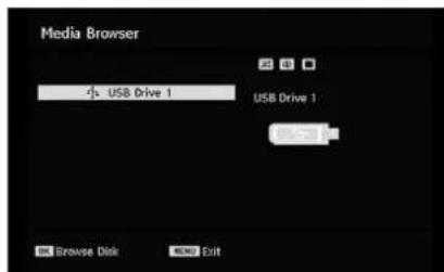 Walker WP4611LCD - Media Browser (in DTV mode) - 2