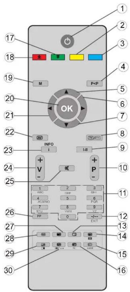 Walker WP4210IDTV - Overview of the Remote Control - 1