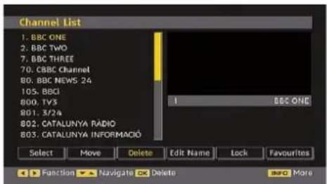 Walker WP4210IDTV - Deleting the Channels in the Channel List - 1