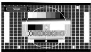 Walker WP4011LCD - Panoramic - 1