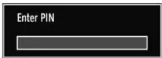 Walker WP4011LCD - Parental Control - 1