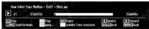 Walker WP4011LCD - Media Playback Using Media Browser - 4