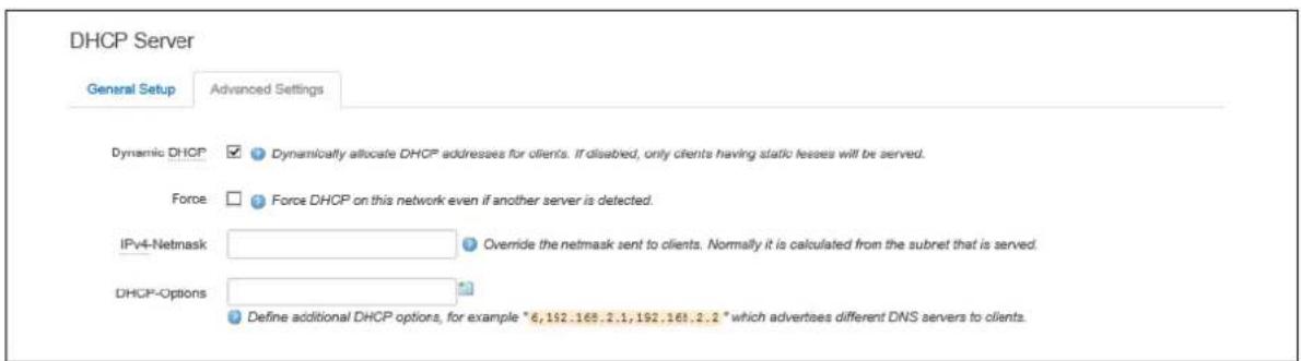 Virtual Access GW3300 - DHCP server: advanced settings - 1