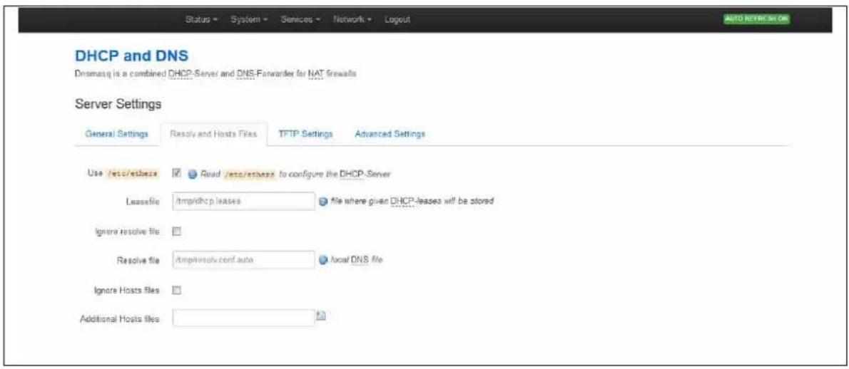 Virtual Access GW3300 - Dnsmasq: resolv and host files - 1