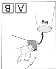 A B leg