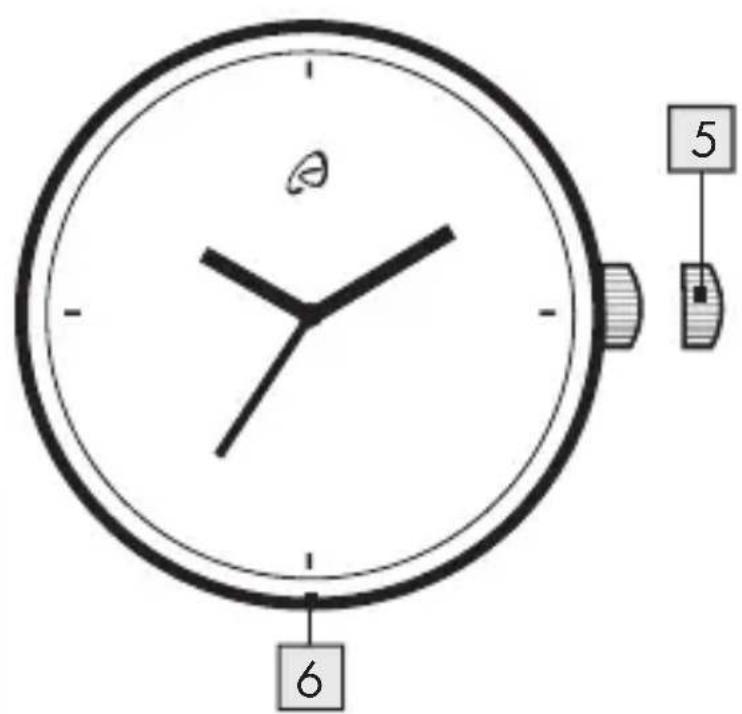 5 6