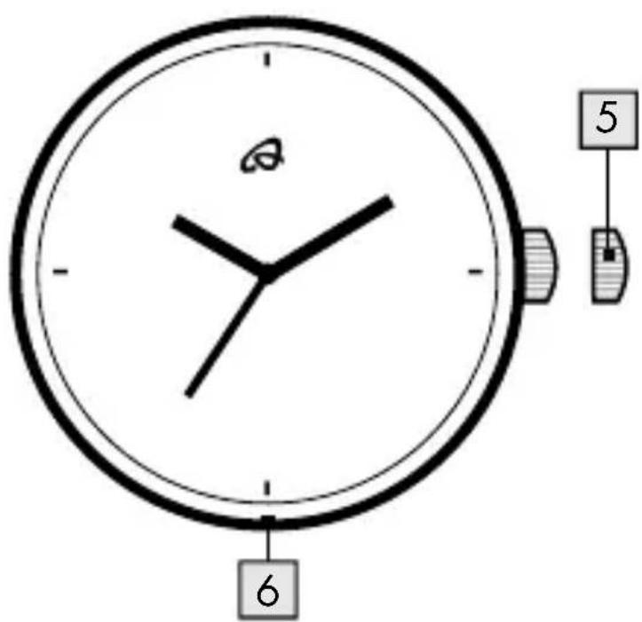 5 6