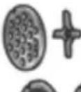 BOSCH MFW45000 - Looking for help? You'll find it here. - 25