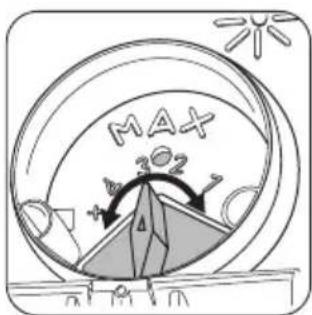 MAX 202