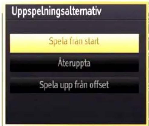 Andersson LED24511HD PVR DVD - Titta på inspelade program - 1
