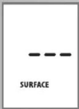 Caregiver PRO TF-300 - SURFACE Temperature Mode - 2