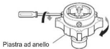 Piastra ad anello