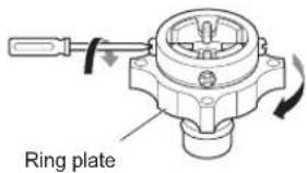 Ring plate