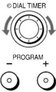 DIAL TIMER PROGRAM - + +