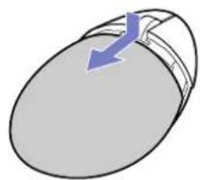 SONY Vaio VGN-A115Z - Before you use the mouse - 1