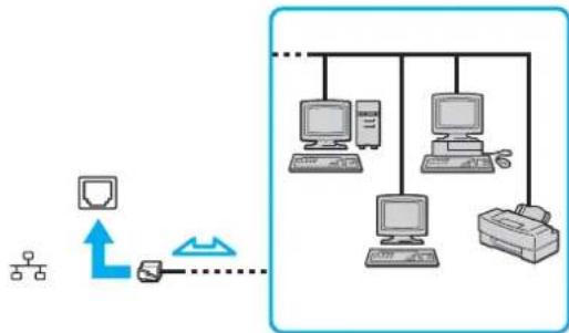 SONY Vaio VPCJ11M1E - Using the Network (LAN) - 1