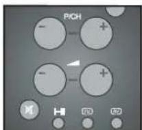 PICH - + - - + - M H F2 40