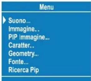 Menu ► Suono... Immagine... PIP Immagine... Caratter... Geometry... Fonte... Ricerca Pip