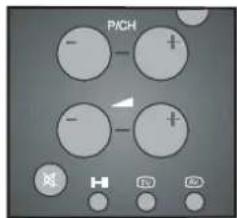 PICH - - + - - +