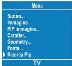 Menu Suono... Immagine... PIP Immagine... Caratter... Geometry... Fonte... Ricerca Pip TV