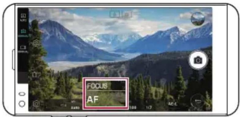 AF FOCUS