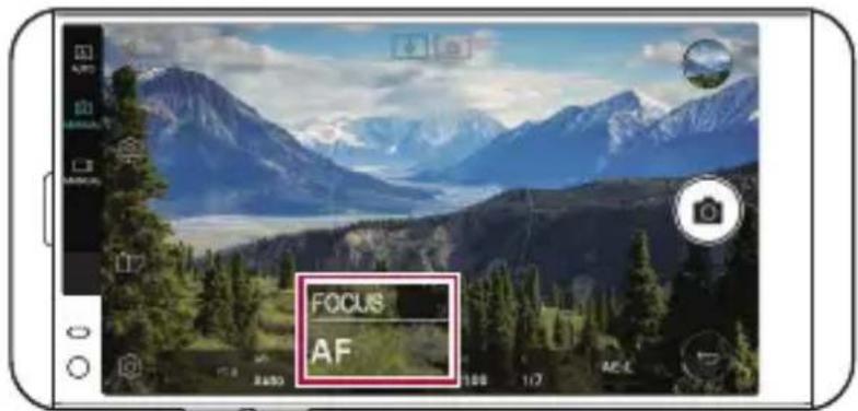 AF FOCUS