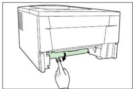 Utax LP-3022 - Duplexeinheit - 4