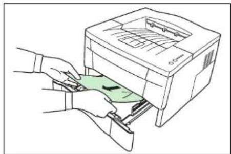 Utax LP-3022 - Papierkassette - 1