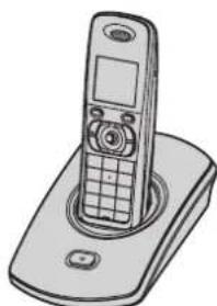 PANASONIC KX-TG8322G - 1