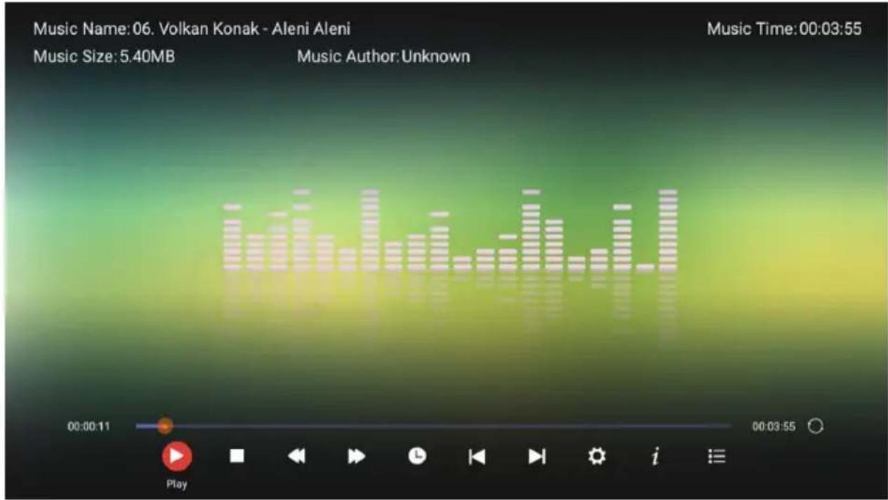SVAN SVTV132SM - Music - 2