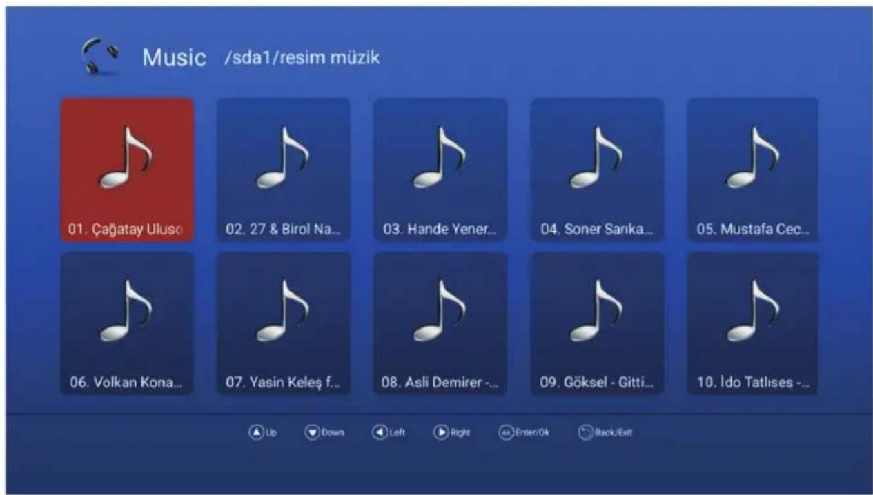 SVAN SVTV132SM - Music - 1
