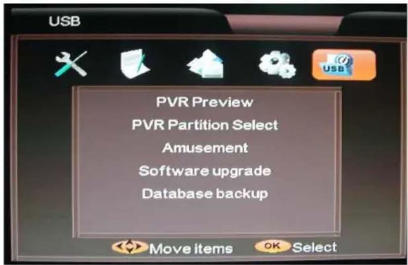 Reflexion TDD-3230 - USB-ANSCHLUSS (DVB-S) - 1