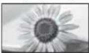 PANASONIC Viera TX-L37EW5 - [Aspekt] [Zoom2] - 1
